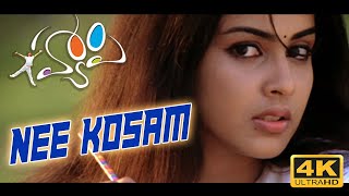 Nee Kosam  Oka Madhumasam 4k video song || Happy Movie || Allu Arjun, Genelia