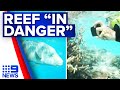 Great Barrier Reef listed as 'in danger' | 9 News Australia