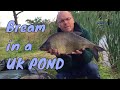 What is a bronze bream | Pond Fish | Any Pond Limited | UK