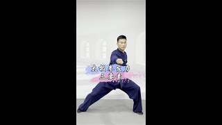 太极拳发力+三要素 Tai Chi basics - Exerting forces