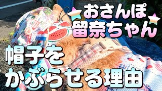 【おさんぽ留奈ちゃん】帽子には意味があるんですよ（字幕有/高画質有）