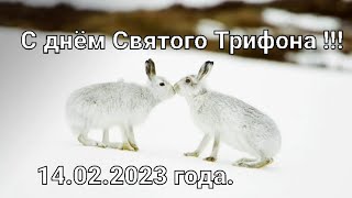 #Охота на зайца-русака. Сезон 2022-2023гг закрыт достойно !!!