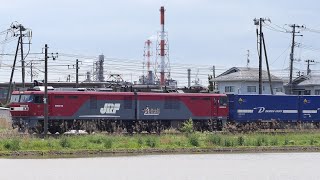 水が入った田んぼと大日グループ・西濃運輸の貨物列車＠宮城県岩沼市