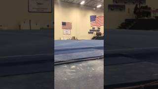 Sarah Jane 9.5 Level 7 floor routine