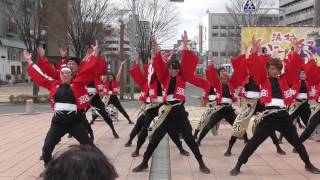 関西大学学生チーム　漢舞　2017浜松がんこ祭り【東街区ロータリー】