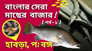 Habra Fish Market | Patpatti Kalibari Market | হাবড়া মাছের বাজার | বাংলার সেরা মাছের বাজার (P-1)