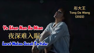 夜深难入眠 - Ye Shen Nan Ru Mian - 彤大王 - Tong Da Wang (2022)