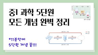 [중1 과학] 5단원 모든 개념 완벽 정리