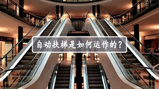 自动扶梯究竟是如何运行的？它又是如何从平面变为阶梯？【时空宇航号】