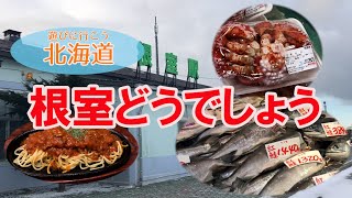 【根室どうでしょう】 あまつぶドロップの北海道紹介動画！一度足をはこんでほしい！魅力ある街　根室