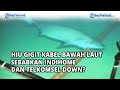 Viral, Video Ikan Hiu Gigit Kabel Bawah Laut Sebabkan Indihome dan Telkomsel Gangguan, Benarkah?