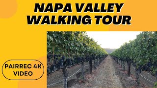NAPA VALLEY TRAVEL GUIDE, Napa Valley ultrawide videos, Napa Valley virtual walking tour