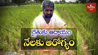 ఆరుతడి విధానంలో వరి పండిస్తున్న విజయ్‌రామ్‌ | Inter Cropping In Paddy | Natural Farming | hmtv Agri