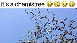 Science Memes