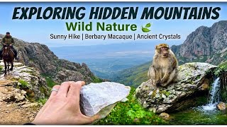 Exploring Hidden Mountains & Wild Nature 🌧️🍃 #relaxing #nature