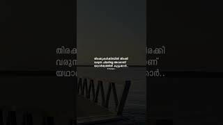 നിങ്ങൾക്കുമുണ്ടോ ഇങ്ങനെയുള്ള കൂട്ടുകാർ?:❤‍🩹🫂