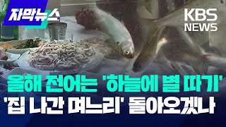 고수온에 죄다 폐사…가을 전어도 어패류도 / KBS 2024.10.22.