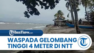 BMKG: Waspadai Cuaca Maritim NTT Hari Ini! Dua Laut NTT Berpotensi Gelombang Tinggi hingga 4 Meter