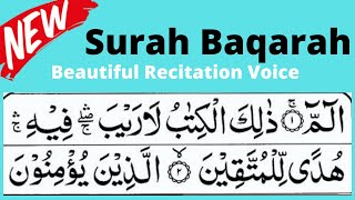 Surah Baqarah Beautiful Recitation voice | Surah Baqarah Quran Tilawat