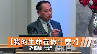 【我的生命在做什麼?】謝錫銘牧師 台語堂主日直播  2025-1-19