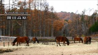 木曽路、木曽、木祖村、水木沢、奥木曽湖、きそむら、木曽川