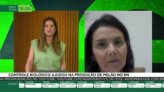 Controle biológico ajudou na produção de melão no RN