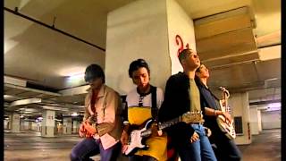Scoin - Buah Hatiku (Official Music Video)