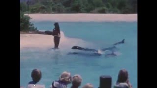 1974年【ハワイ】シーライフパーク８mmフィルムの映像◆1974 Hawaii 8mm footage sea life park dolphin and wale beautiful show