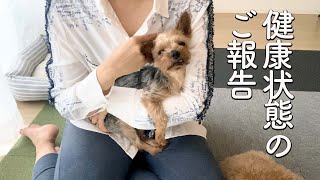 保護犬マルコ、健康状態についてのご報告【Day21】