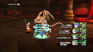 【DQX】ピラミッド６層　サポとひとりでの討伐動画