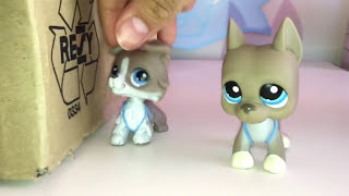 LPS: The New boy Haves a Crush.