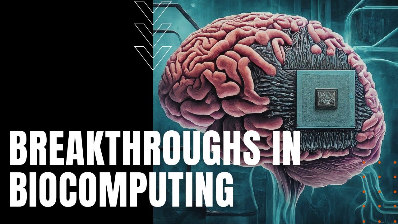 Breakthroughs In Biocomputing Youtube