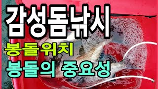 [질라이낚시tv]감성돔낚시에서 봉돌위치와 봉돌의 중요성을 알아보자!!