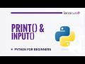 Python Print() and Input() Functions for Beginners | Python Tutorial