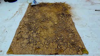 Carpet Cleaning Satisfying Video - Watch Dirt Disappear! Oddly Satisfying Carpet Cleaning ASMR