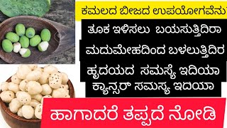 ಕಮಲದ ಬೀಜಗಳ ಅಥವಾ ಮಖಾನ ಅಥವಾ ಫಾಕ್ಸ್ ನಟ್ ನ ಮಹತ್ವ#makhana #fox nuts#lotus seeds#informationworld