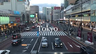 東京2人暮らし／新宿でハンバーガーランチ／公園でカフェタイム／新宿散歩／新宿デート／コーヒー／vlog