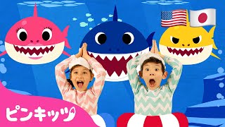 サメのかぞくたいそう | Baby shark dance 英日版 | 子どもの歌 | ピンキッツ・ベイビーシャーク