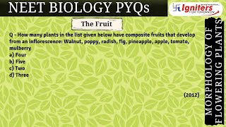 How many plants in the list given below have composite fruits that develop from an inflorescence: ..