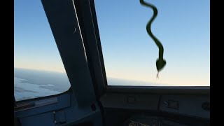 FS2020 Snake on board plus both engines failed!