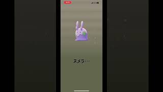 確率検証 10キロ卵×10個 メラルバ色違いチャレンジ② #shorts #pokemongo #pokemon #ポケモンgo #ポケモン #10キロ卵 #孵化 #メラルバ