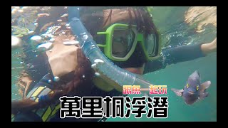 【墾丁 | 萬里桐浮潛】超美的海底世界！還有會跟你玩的魚