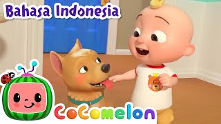 Bingo Anjingku | CoComelon Indonesia | Lagu Anak Anak | Nursery Rhymes indonesia