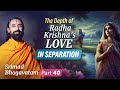 The Depth of Radha Krishna's Love in Separation - When Krishna Left Vrindavan | Swami Mukundananda