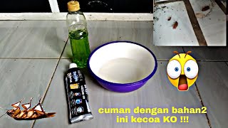 Cara mengusir kecoa di dapur, cukup dengan cara ini