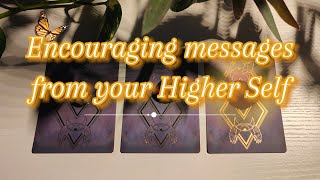 ✨Your HIGHER SELF Is So Proud Of You !👏(Pick a Card) • Timeless Tarot Reading •