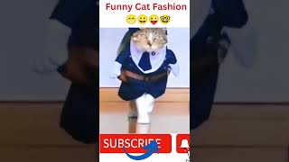 You always record meow! #catmoments #cattitude #catsofshorts #catvideos #catmemes #catlovers #cat