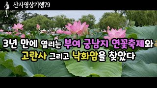 우리나라 최고의 인공정원인 부여 궁남지에서 열리는 서동연꽃축제와  고란사를 찾았다|[산사영상기행79]