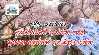 දකුණු කොරියාවේ ලස්සනම ස්ථාන / 2022