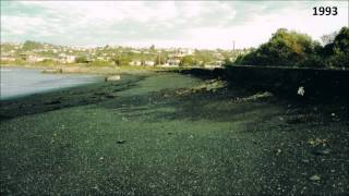 Napier Coastal Erosion #06 Timeline for severe damage to the beach